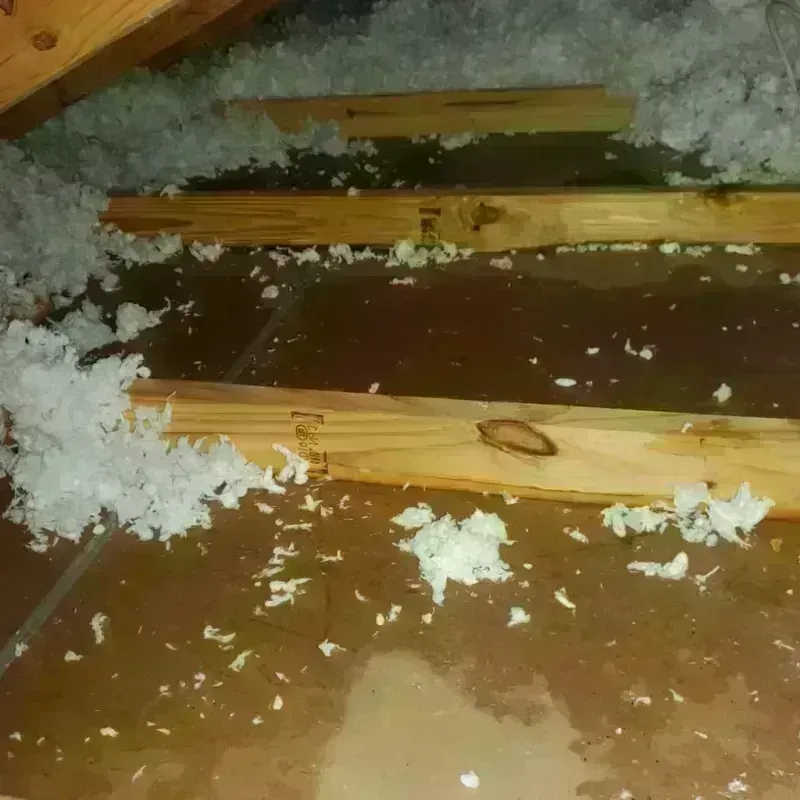 Attic Water Damage in Salem, OH