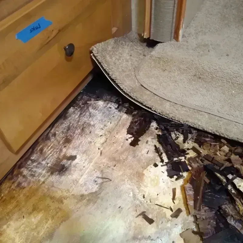 Wood Floor Water Damage in Salem, OH